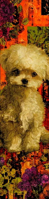 Free printable dog bookmark featuring adorable shih tzu on bold orange